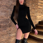Long Sleeve Mini Dress