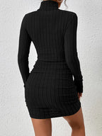 Turtleneck Mini Dress