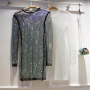 Shiny Party Dress Net